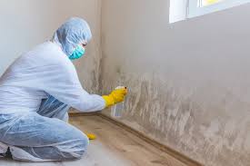 Best Crawl Space Mold Remediation  in Henning, TN