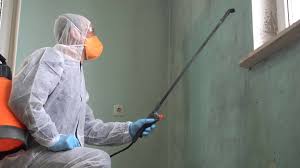 Best Black Mold Removal  in Henning, TN